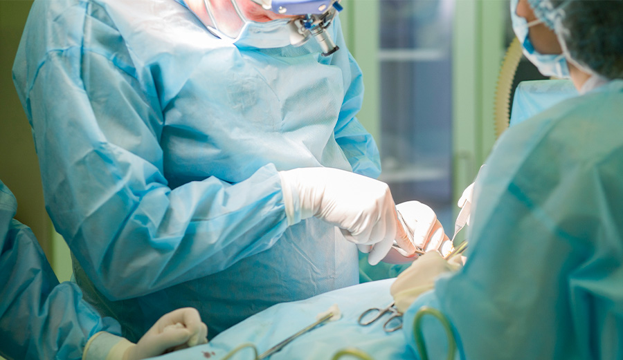 Application of Human Body Models in Clinical Skill Training