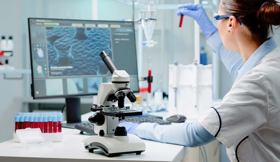 Application of Human Body Models in Research and Development